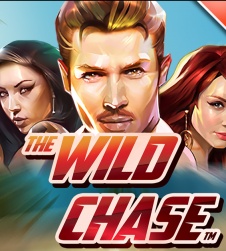 Casumo casino darmowe spiny na slot the wild chase 2 4