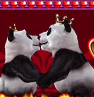 Royal Panda: Turniej na na slocie Burning Desire
